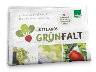 Grünfalt Zeitungsbeilage